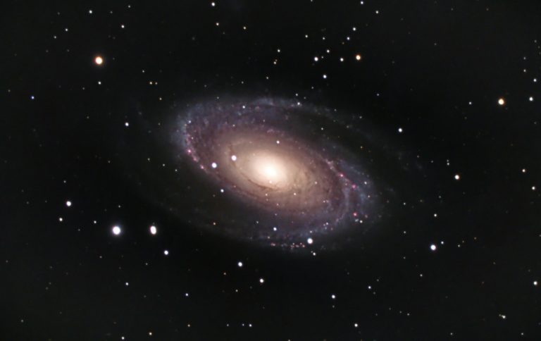 M81