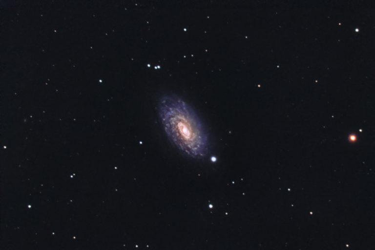 Sunflower Galaxy