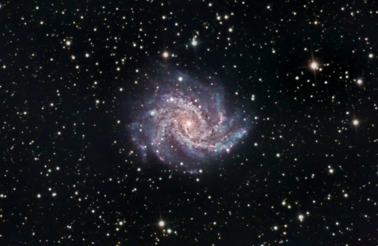 Fireworks Galaxy 2022