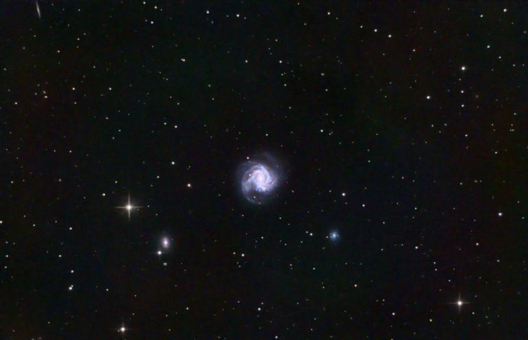 M61